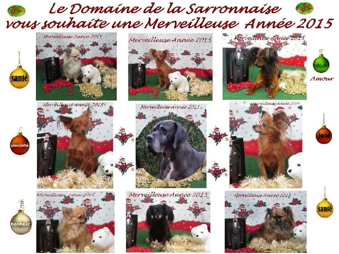 Du Domaine De La Sarronnaise - Excellente Année 2015 à tous et toutes 