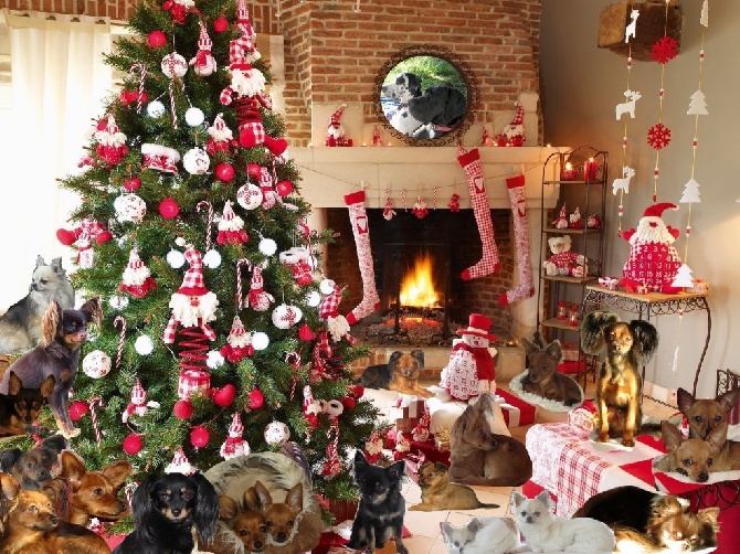 Du Domaine De La Sarronnaise - Joyeux Noel à tous 