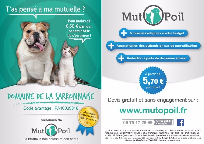 Du Domaine De La Sarronnaise - Assurance chiens / chats