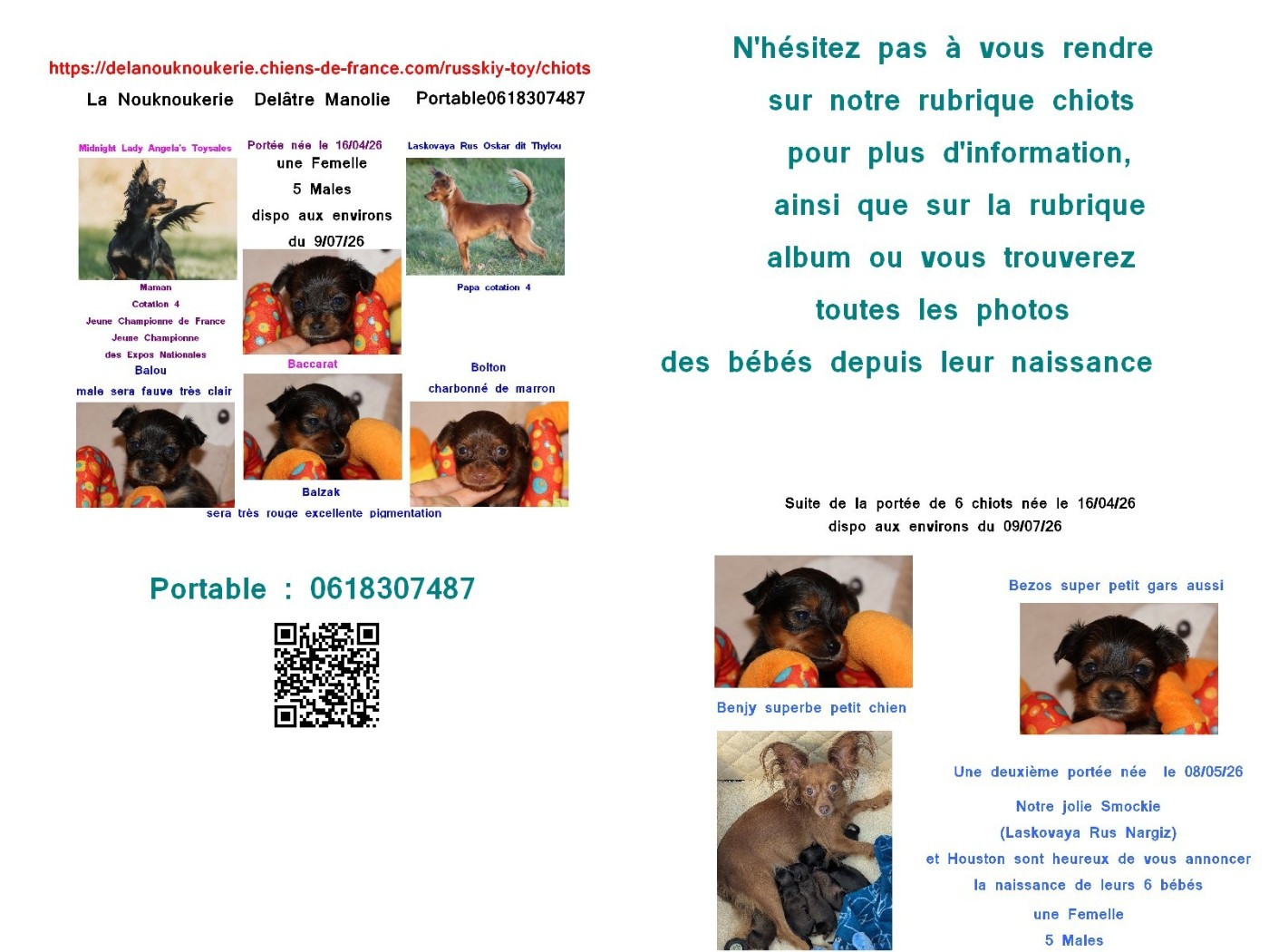 Du Domaine De La Sarronnaise - De très jolis chiots chez mon Amie Manolie